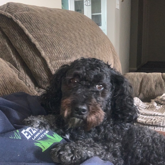 Meet your Posher, Megan - Picture 7 of 10